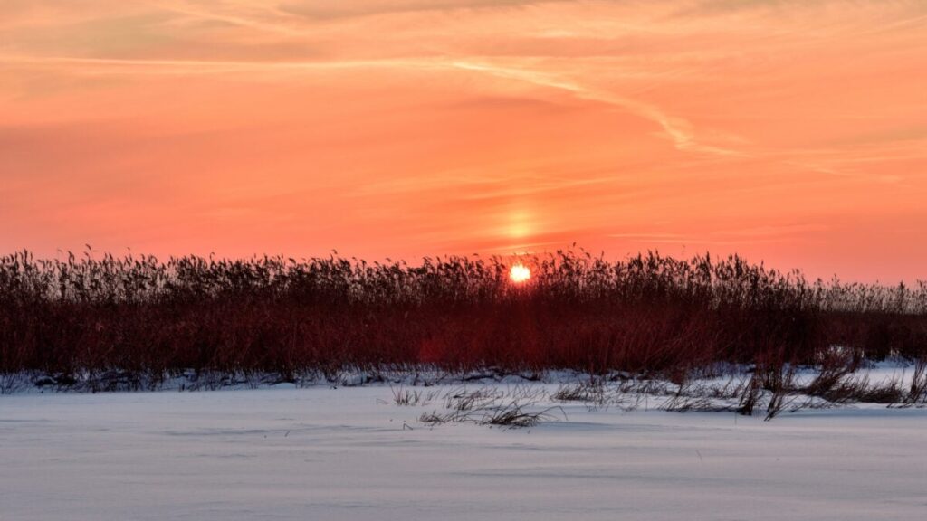 Changing the Clocks Goes Against Human Nature—and Nature Itself Changing the Clocks Goes Against Human Nature—and Nature Itself