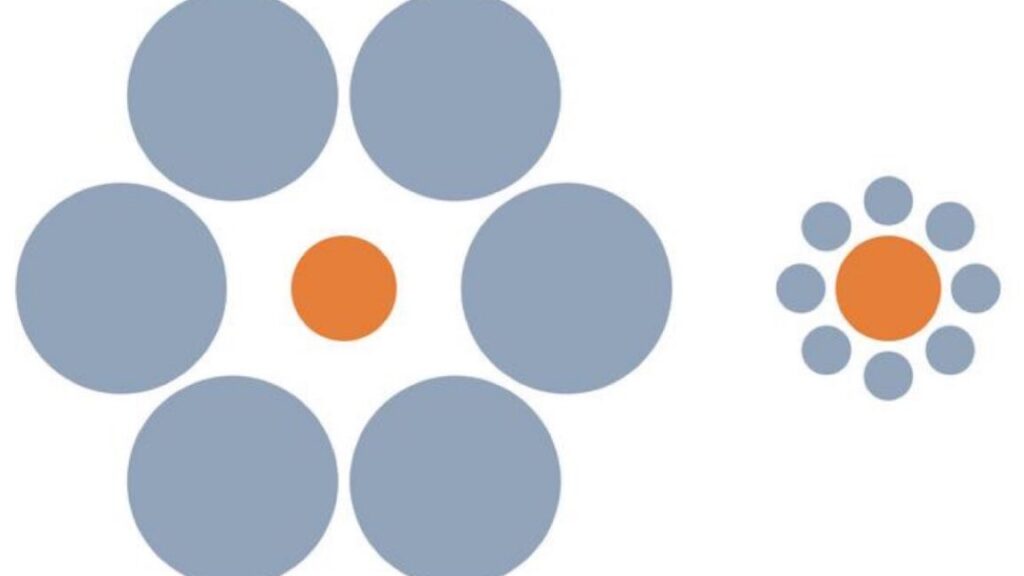 Do animals fall for optical illusions? It’s complicated. Do animals fall for optical illusions? It’s complicated.