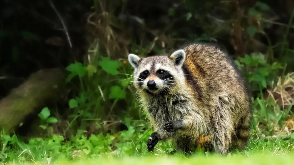 I tested Sora’s new ‘Character Cameo’ feature, and it was borderline disturbing I tested Sora’s new ‘Character Cameo’ feature, and it was borderline disturbing