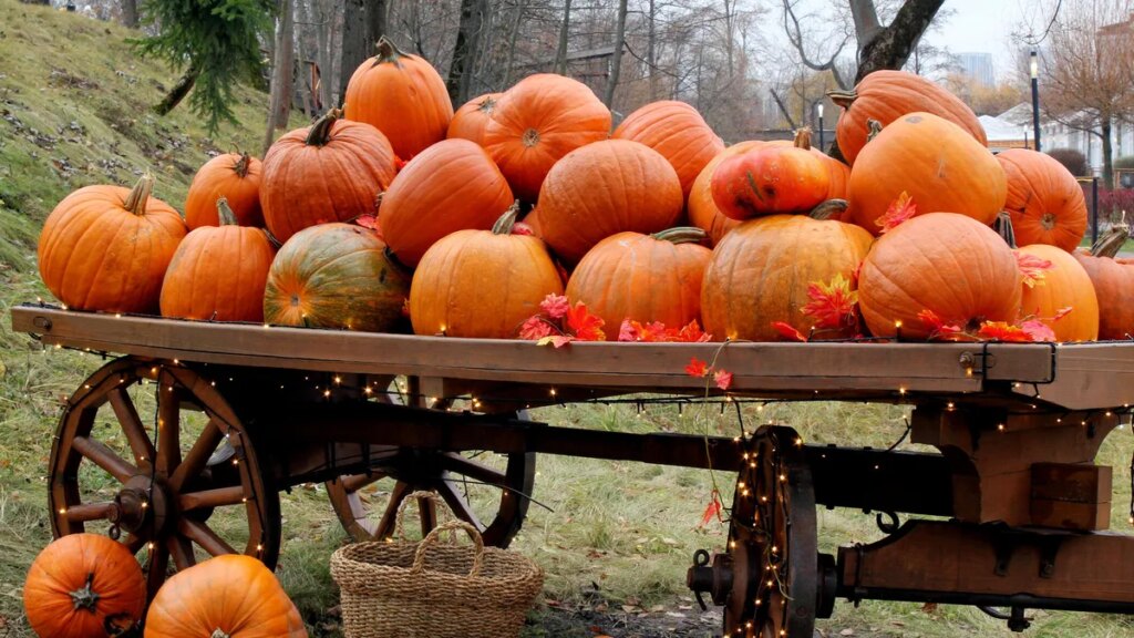 Instead of Googling Pumpkin Patches and Apple Picking, Let AI Plan Your Perfect Fall Day Instead of Googling Pumpkin Patches and Apple Picking, Let AI Plan Your Perfect Fall Day