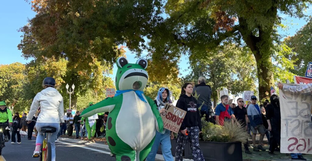 March of the frogs | The Verge March of the frogs | The Verge