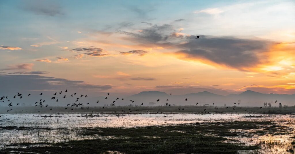 Rainfall Buries a Mega-Airport in Mexico Rainfall Buries a Mega-Airport in Mexico
