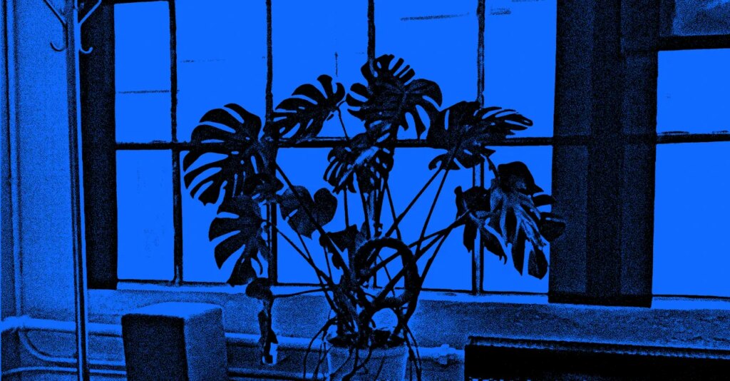 The Argument for Letting AI Burn It All Down