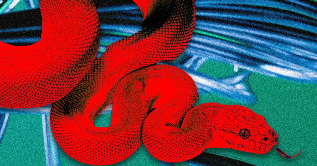 This ‘Privacy Browser’ Has Dangerous Hidden Features This ‘Privacy Browser’ Has Dangerous Hidden Features