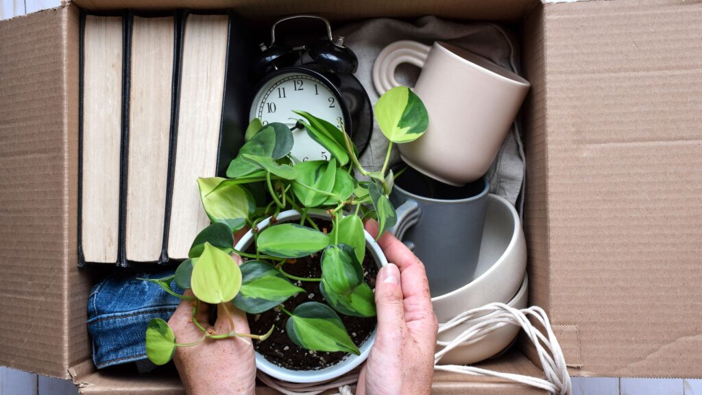 What is Danshari? Here’s how this Japanese decluttering method can totally transform your home