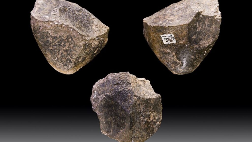 10,000 generations of hominins used the same stone tools to weather a changing world