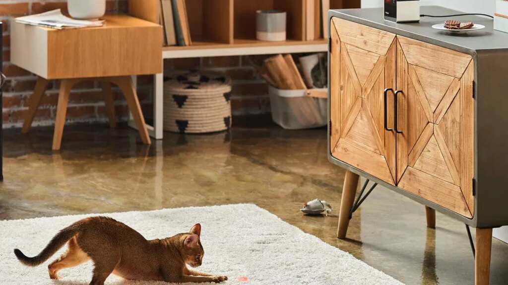 Best Home Pet Cams of 2025, Expert Tested Best Home Pet Cams of 2025, Expert Tested