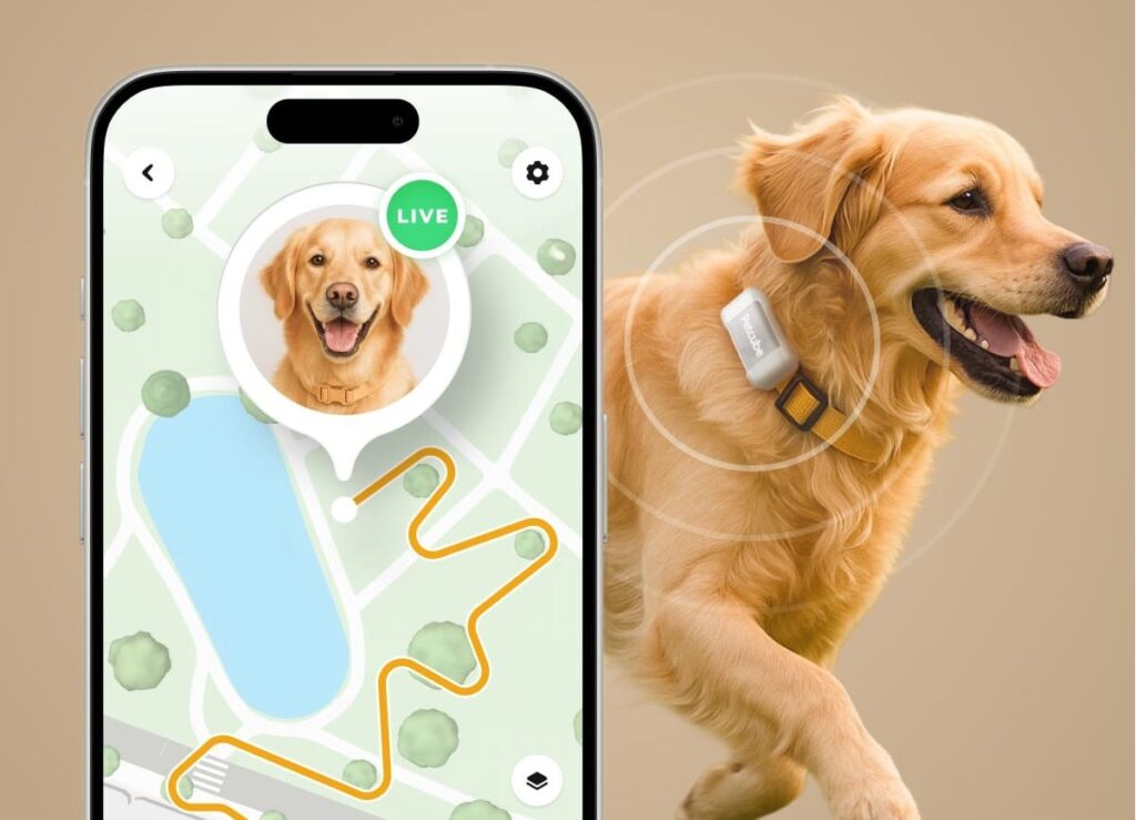 Deal Alert! Track Fido With Petcube’s GPS Tracker