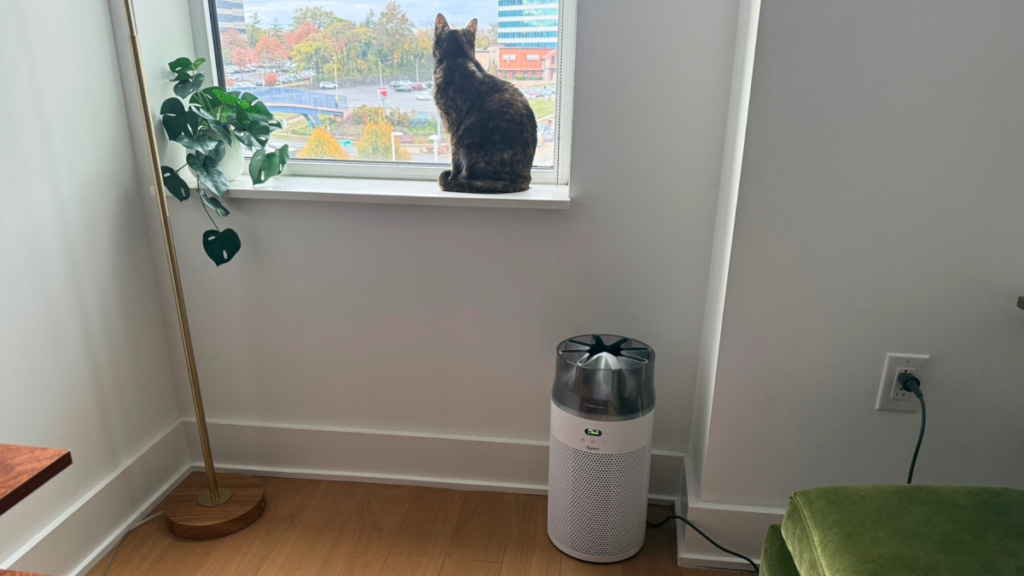Dyson HushJet review: I can confirm that this is the ideal air purifier for small spaces and lazy people