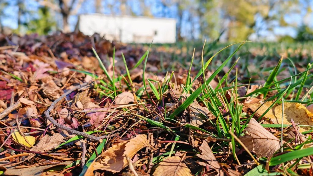 How to Take Care of Your Lawn: Raking Leaves and Other Fall To-Dos Before Winter Arrives How to Take Care of Your Lawn: Raking Leaves and Other Fall To-Dos Before Winter Arrives