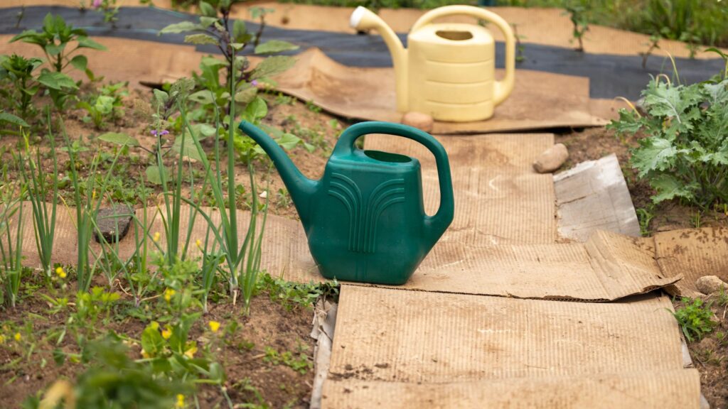 People are using the ‘cardboard method’ to prepare garden beds for the winter — here’s how it works People are using the ‘cardboard method’ to prepare garden beds for the winter — here’s how it works