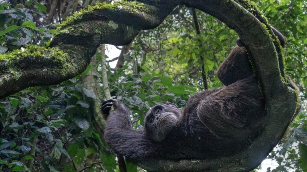Sit Back and Enjoy the Winning Images From This Year’s Nature inFocus Photography Awards