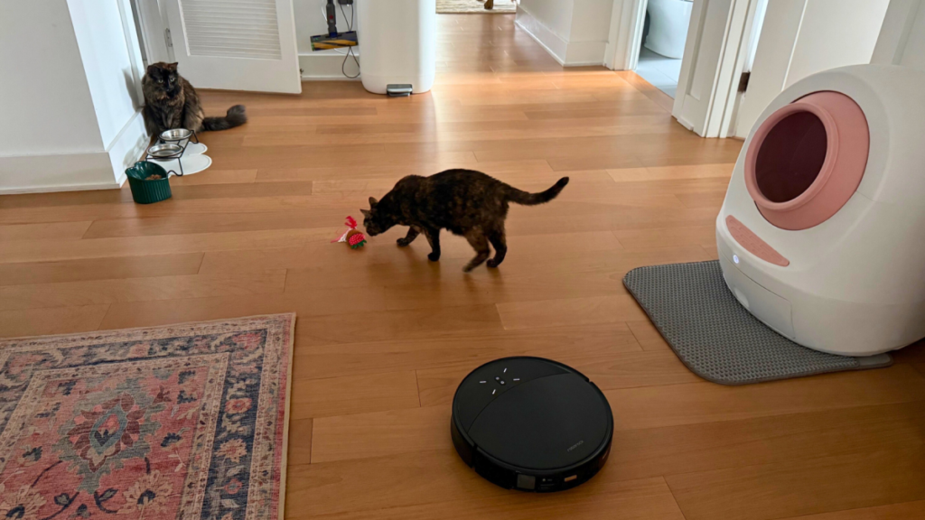The 8 best vacuums for pet owners in 2025 The 8 best vacuums for pet owners in 2025