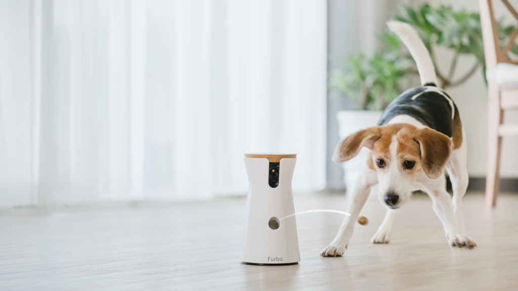 The Best Pet Cameras We’ve Tested for 2025 The Best Pet Cameras We’ve Tested for 2025