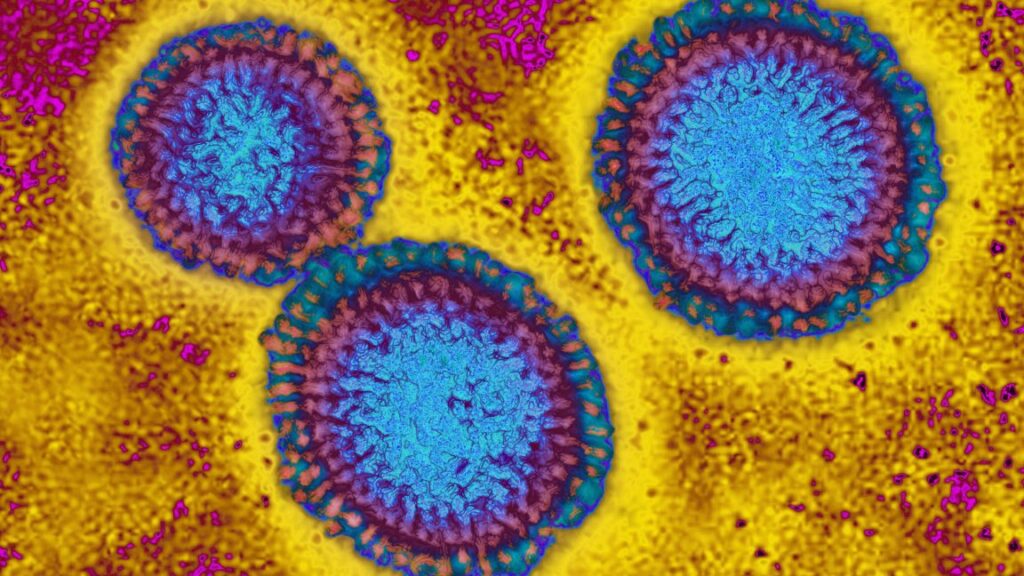 This flu season looks grim as H3N2 emerges with mutations
