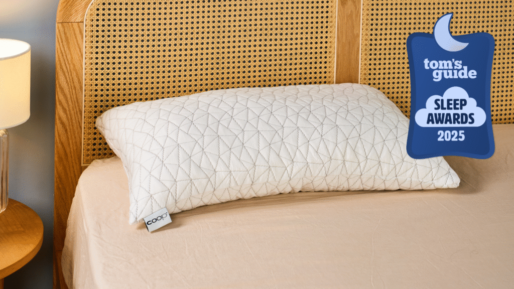Tom’s Guide Sleep Awards 2025: Best Pillow