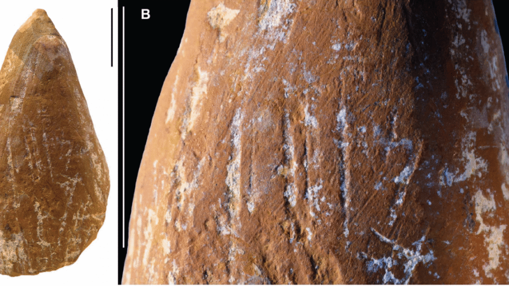 Wear marks suggest Neanderthals made ocher crayons Wear marks suggest Neanderthals made ocher crayons
