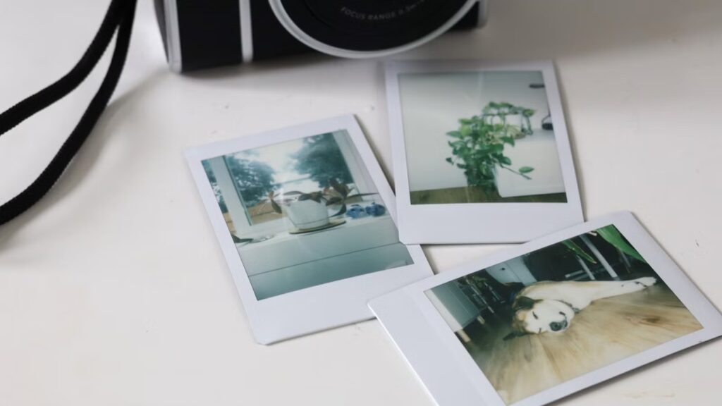 Why digital photos from the 2000s are disappearing (and what you can do about it) Why digital photos from the 2000s are disappearing (and what you can do about it)